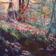 Illustration for article titled Shooting Challenge Fall Leaves Gallery 7